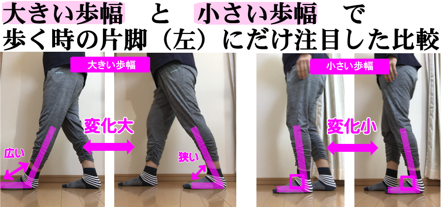歩幅の減少で、たくさん歩いても筋肉の可動域がなく歩くための筋肉が育たない問題がある