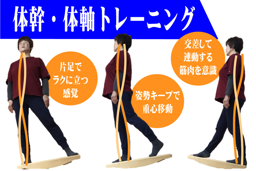 足裏の踏ん張る力と、正しい姿勢が作れる筋力が付くと、アナトミートレインに沿った筋肉の意識が育ち始める