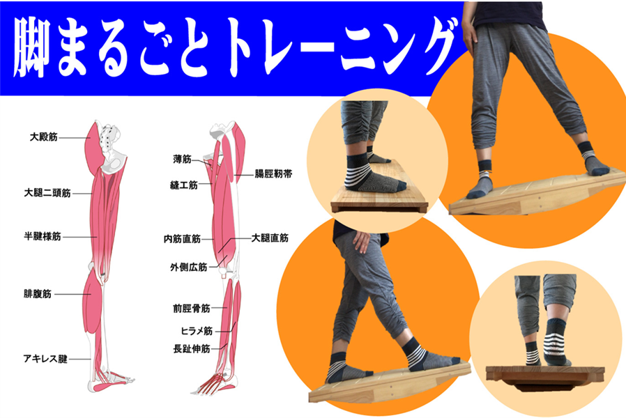 あるくんボードは、傾斜によって足裏から脚全体の筋肉を対称に刺激して、関節を整える美脚トレーニング器具