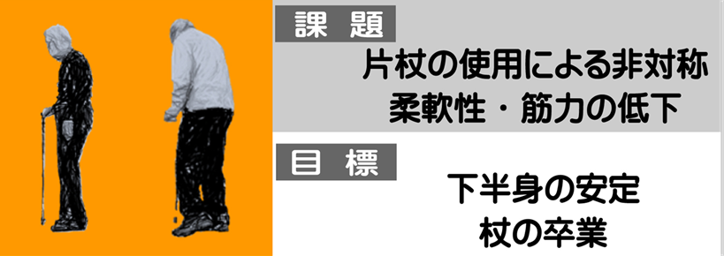 脳梗塞や骨折が原因で片杖の使用で足の使い方に左右差があり、歩幅が狭く歩行のための筋力が減少