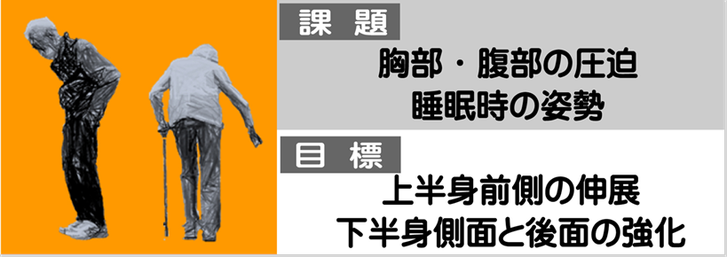 腰部の後弯症と側弯があり、歩行姿勢が腰折れの状態から姿勢の改善で内臓空間の改善と足腰安定を行う