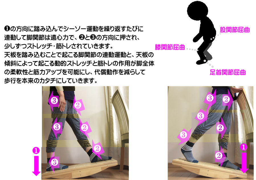 歩く筋肉を鍛えるためには、脚関節の伸展や姿勢の改善を同時に行うことが必要である